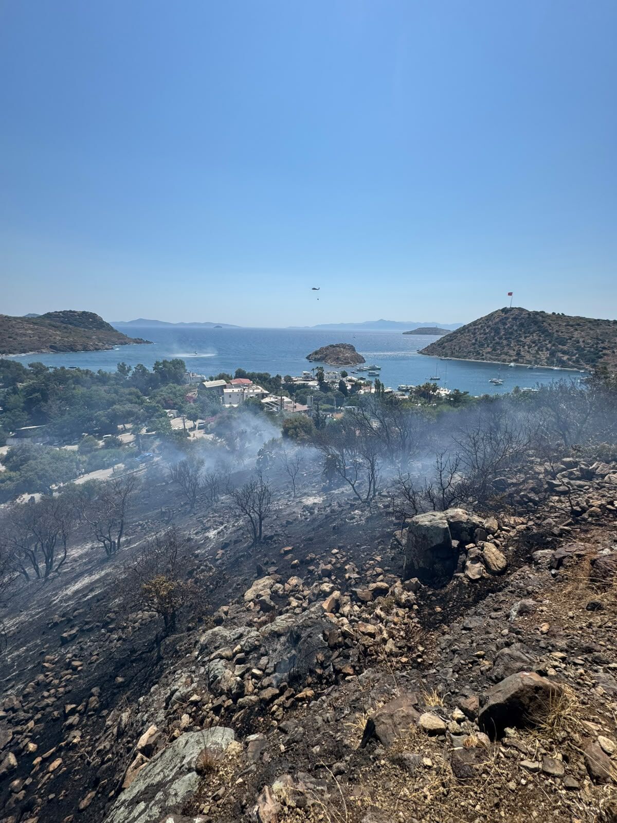 Bodrum Gümüşlük’te Yangın Kontrol Altına Alındı (1)