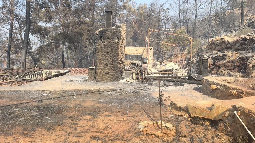 Alevlerin Arasında Yaşam Mücadelesi Yavru Kediyi Muhabirler Kurtardı (3)