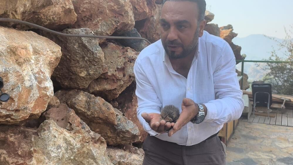 Alevlerin Arasında Yaşam Mücadelesi Yavru Kediyi Muhabirler Kurtardı (4)