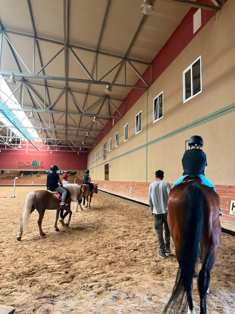 Muğla’da Çocuklar Atlarla Güçlenecek, Doğayla Büyüyecek (4)