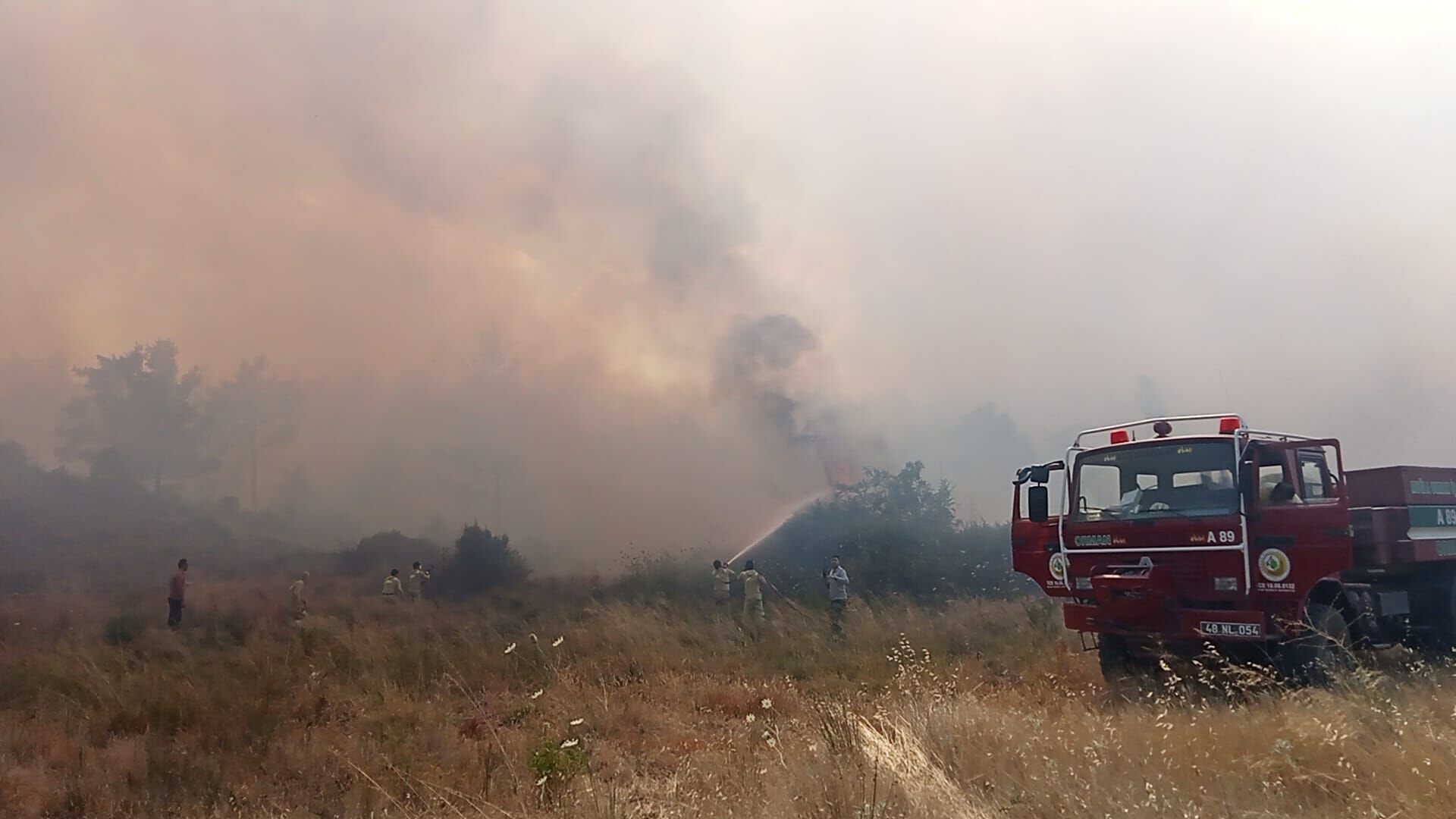 Muğla’da Ziraat Alanında Başlayan Yangın Ormana Sıçradı (1)