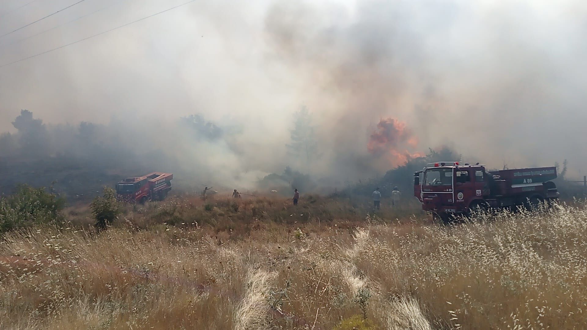 Muğla’da Ziraat Alanında Başlayan Yangın Ormana Sıçradı (2)