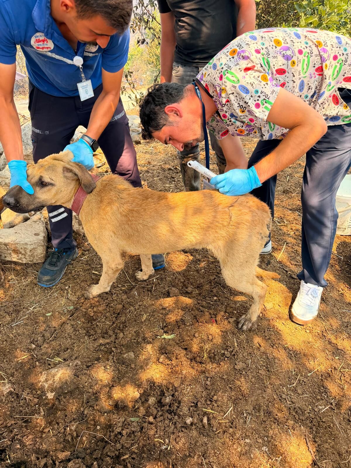 Seydikemer Ve Fethiye’de Yangına Ortak Müdahale (7)