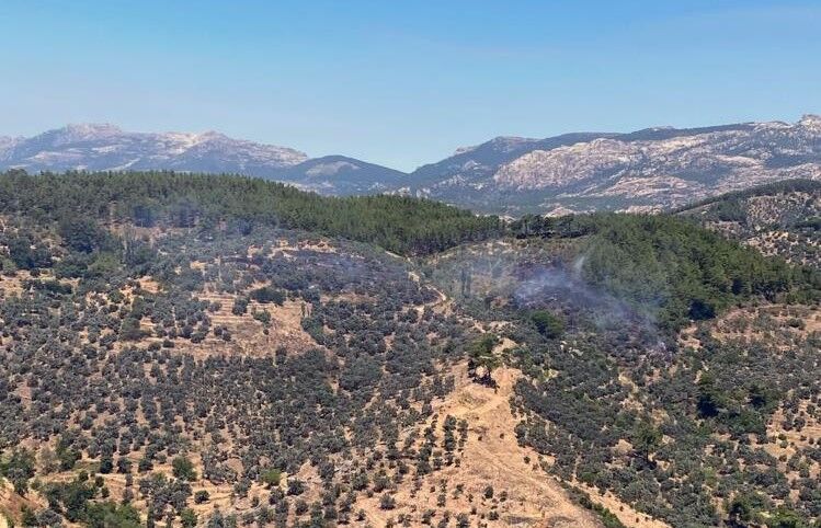 Milas’taki Ziraat Yangını Büyümeden Söndürüldü (2)