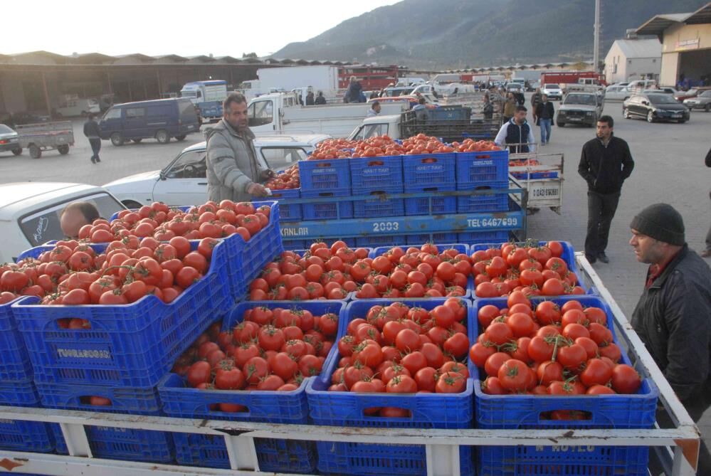 Muğla Haziran Ayında 125,9 Milyon Dolarlık İhracat Yaptı (2)