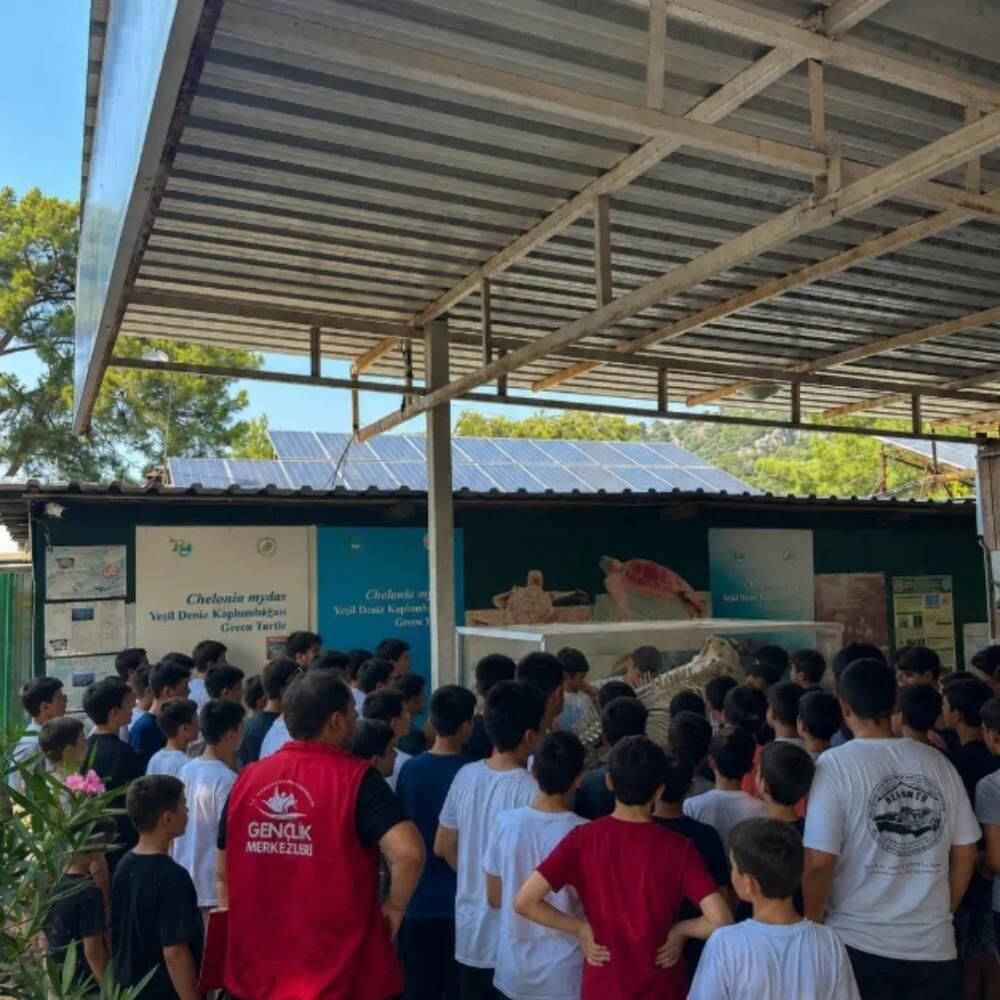 Gençler Dalyan’da Deniz Kaplumbağaları Için Sahaya Indi (3)