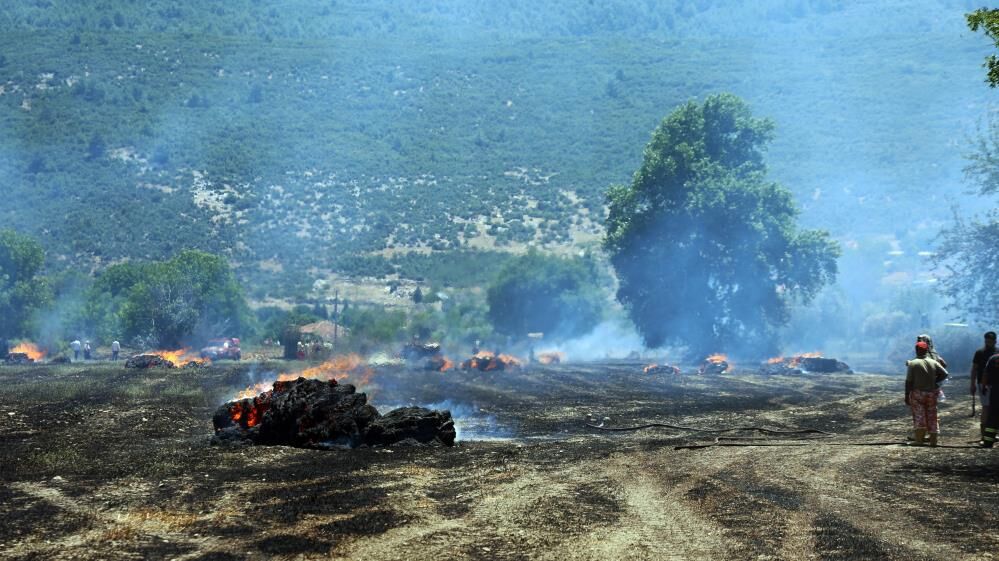 Menteşe'de Tarla Yangını Tonlarca Saman Balyasını Küle Çevirdi (2)