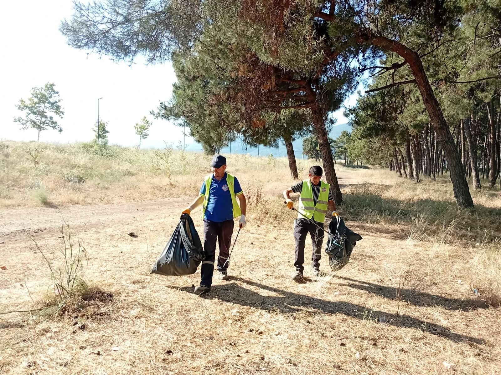 Muğla Orman Bölge Müdürlüğünden Kuru Dal Temizliği İhalesi