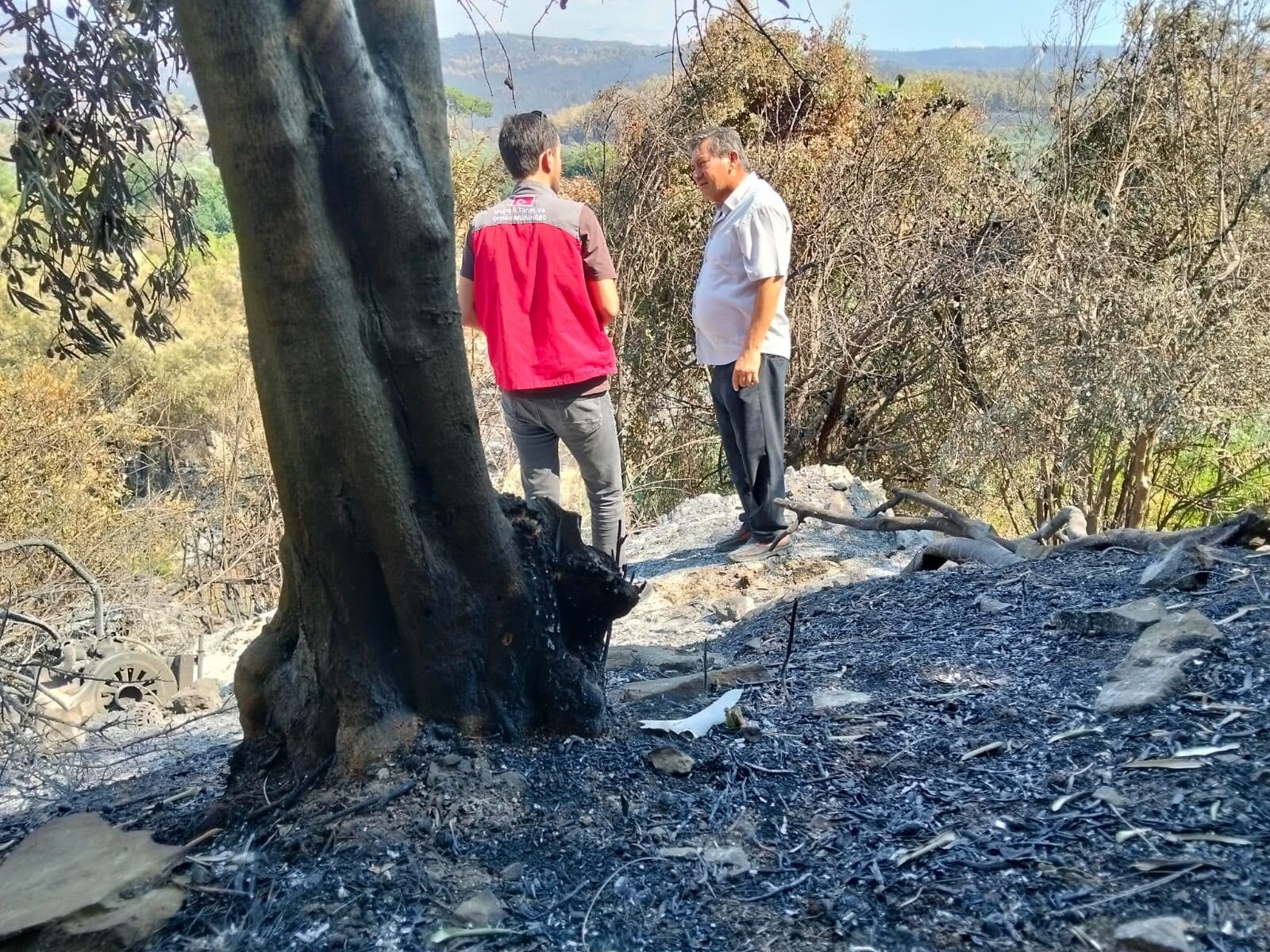 Mugla Orman Yangini Hasar Tespit Calismasi.jpg3