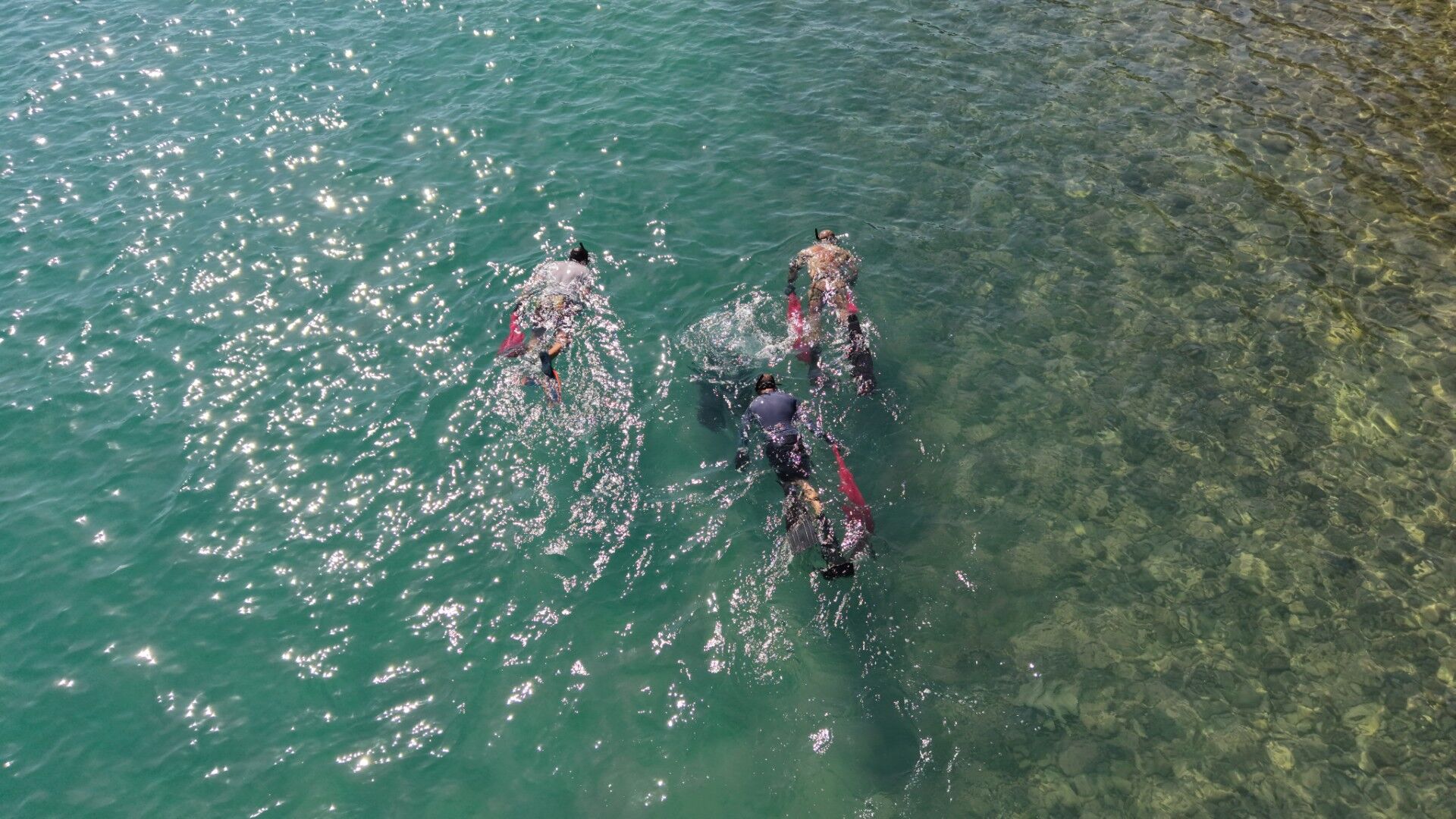 Deniz Dibi Temizliği Torbada Yapıldı (8)