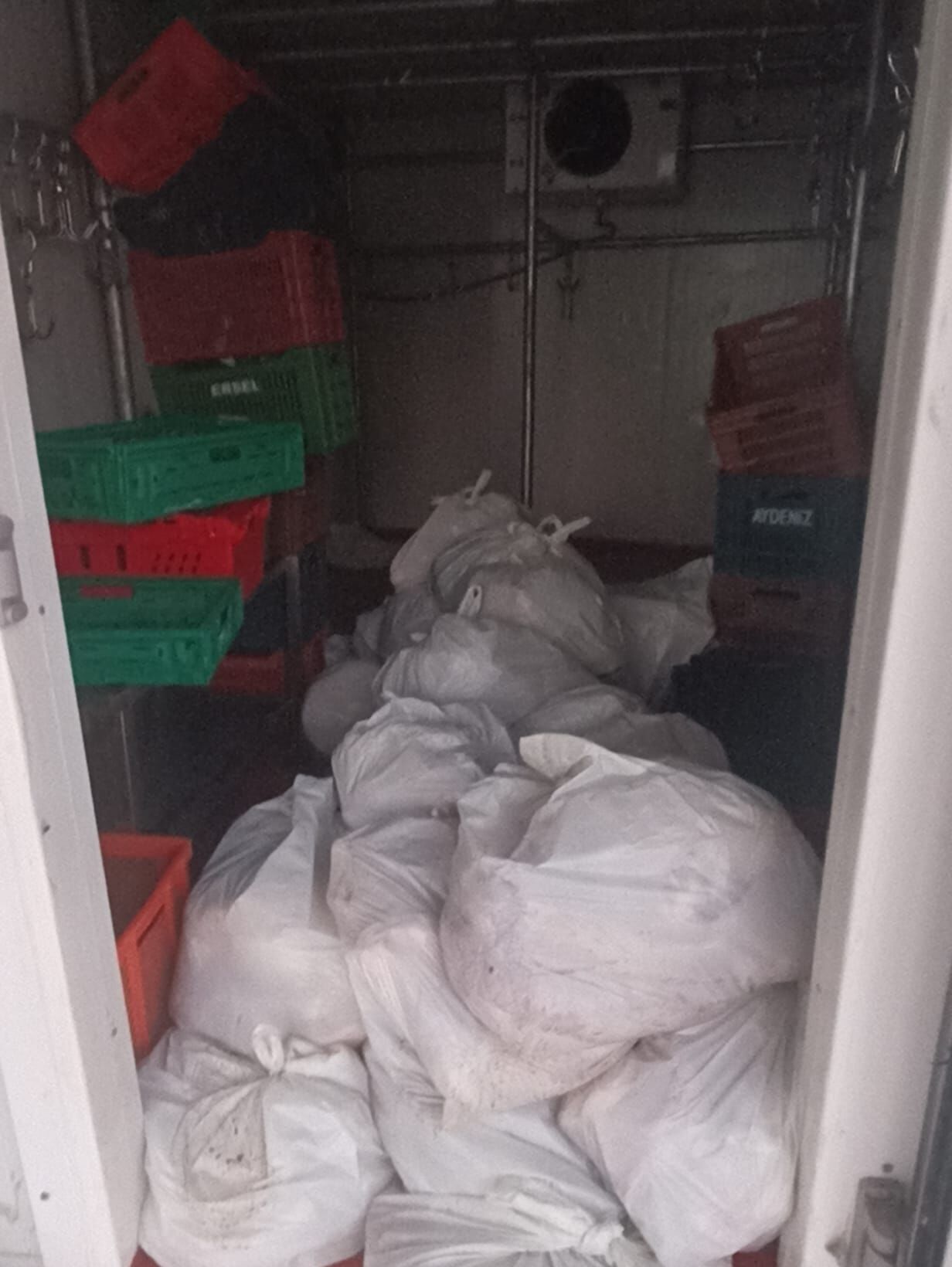 Bodrum’da Kasap Deposunda 400 Kilo Bozuk Et Bulundu (4)