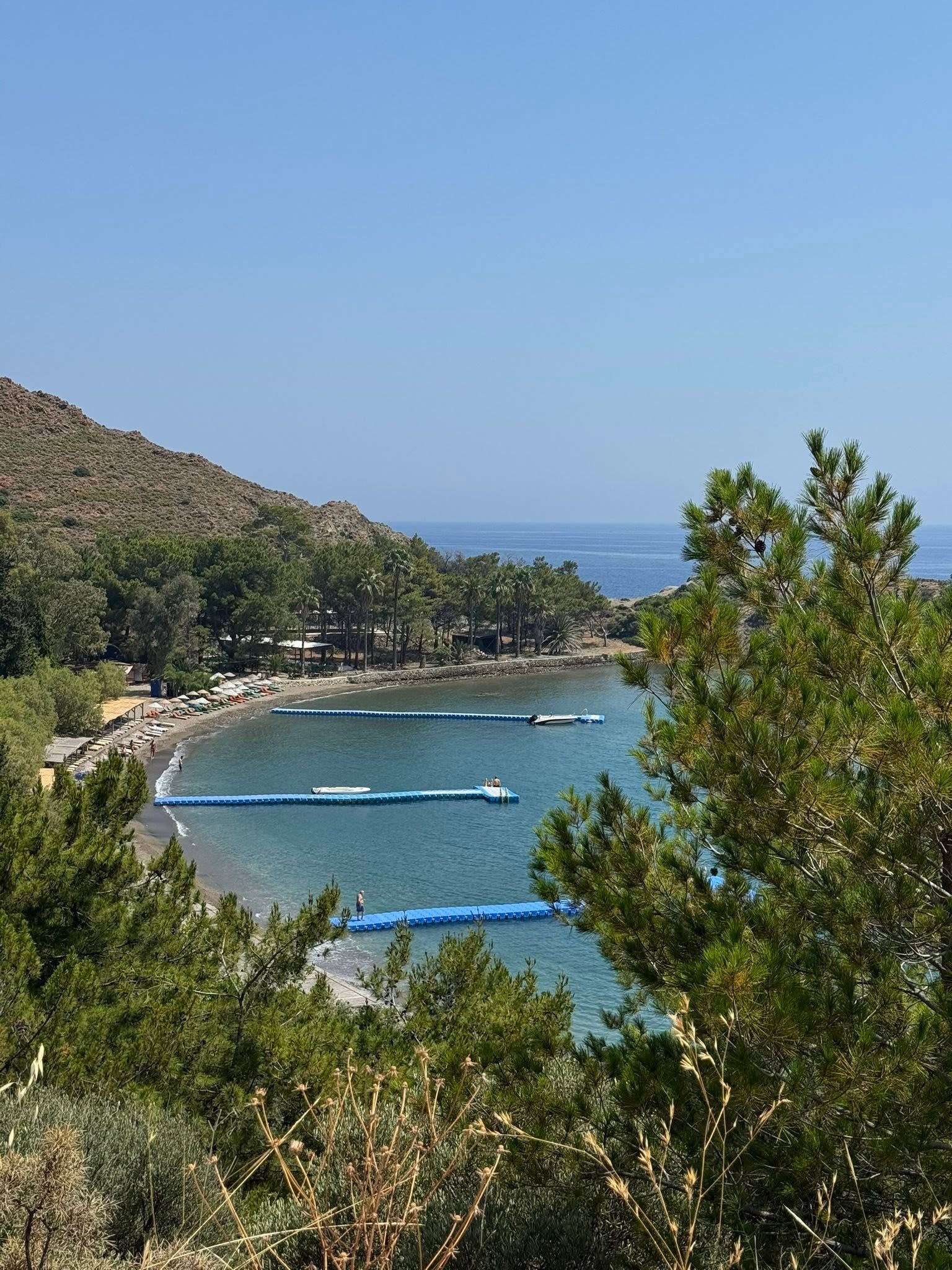 Deniz2