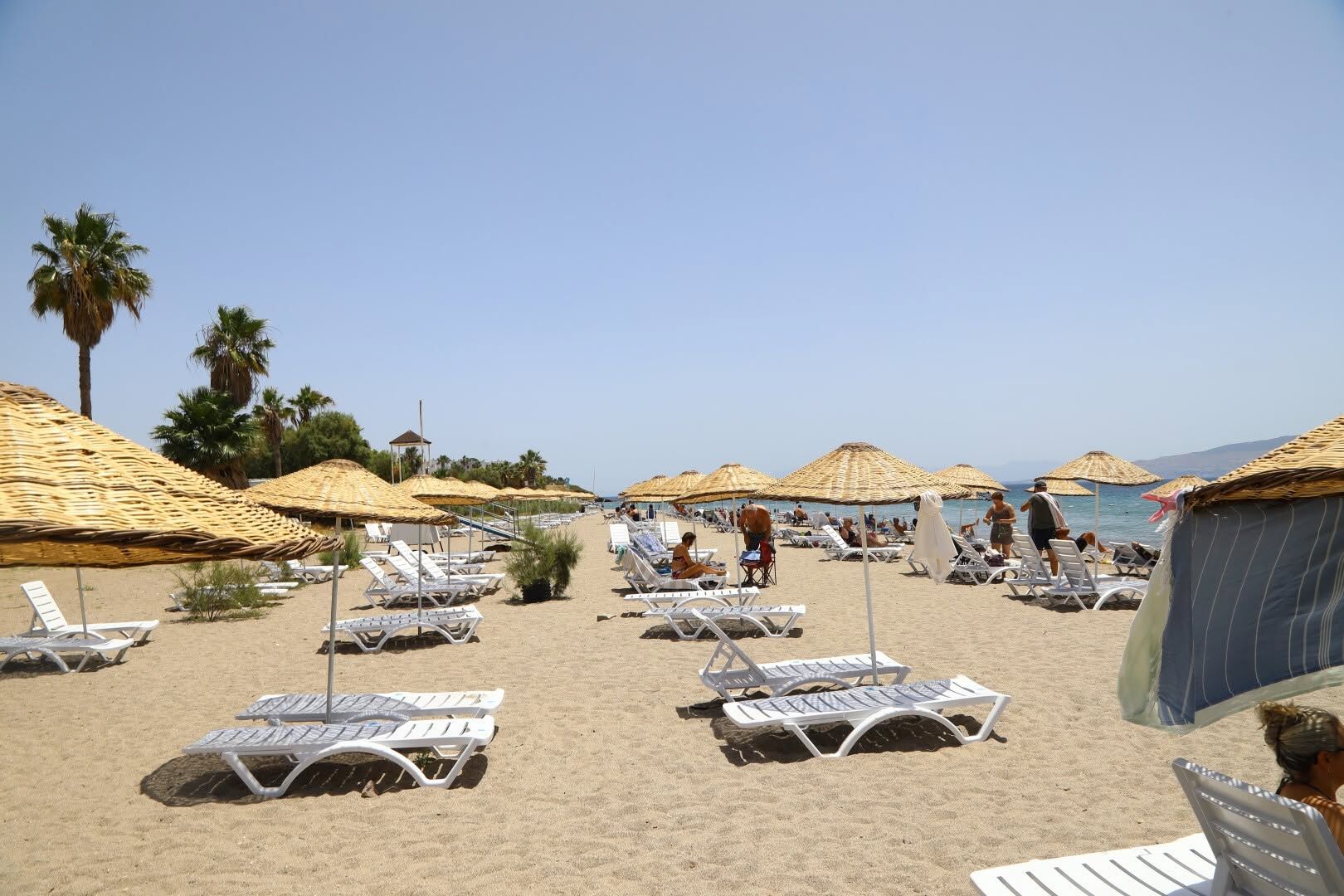 Deniz5