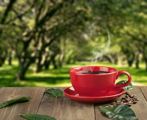 Depositphotos 24917399 Stock Photo Cup Of Fresh Coffee With