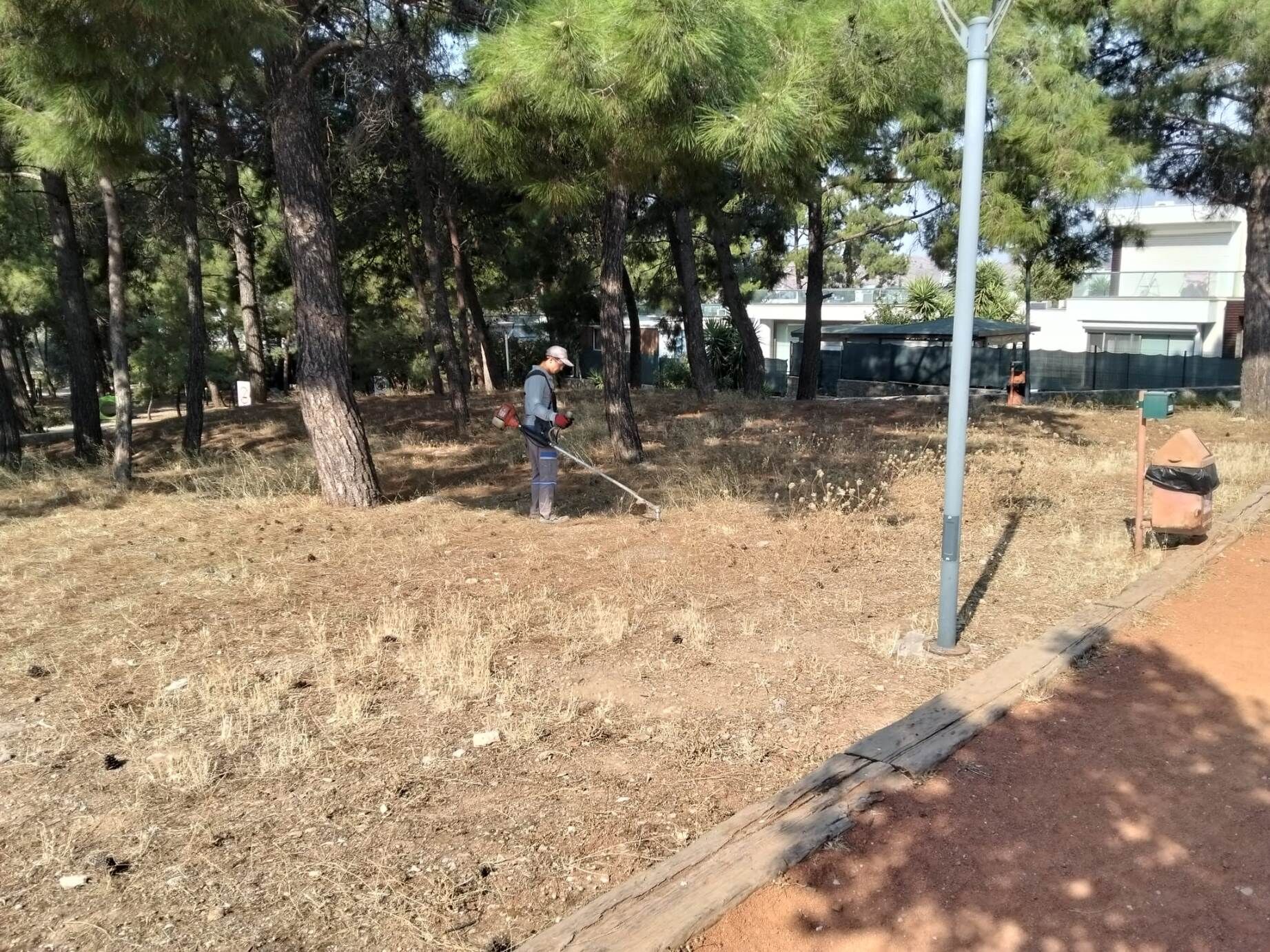 Bodrum’da Yangın Riskine Karşı Ot Temizliği Sürüyor (1)