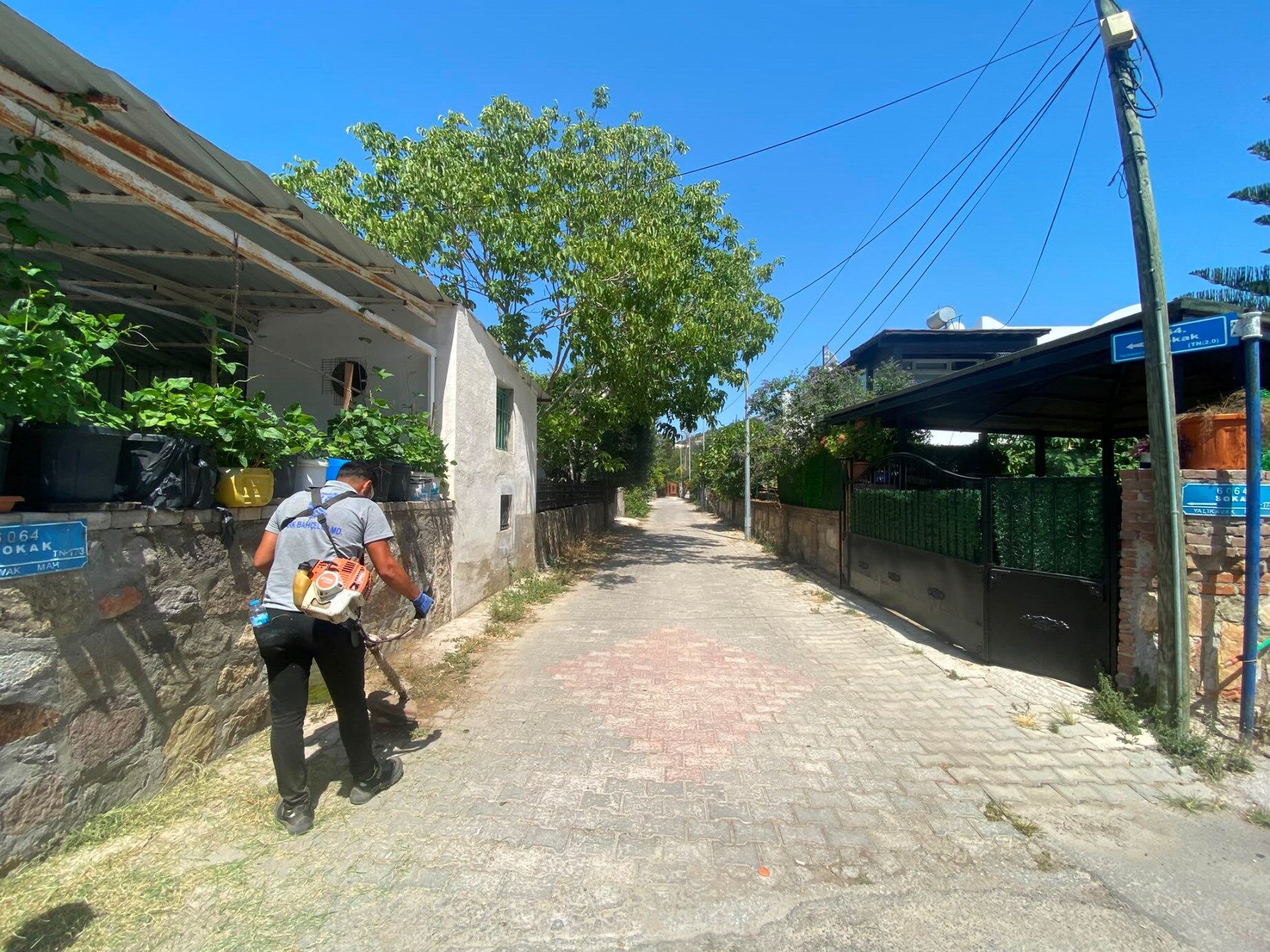 Bodrum’da Yangın Riskine Karşı Ot Temizliği Sürüyor (3)
