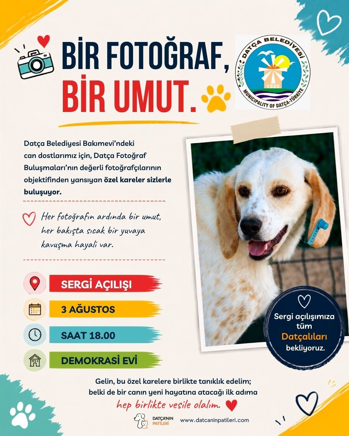 Can Dostlara Yuva Umudu Olacak Fotoğraf Sergisi (3)