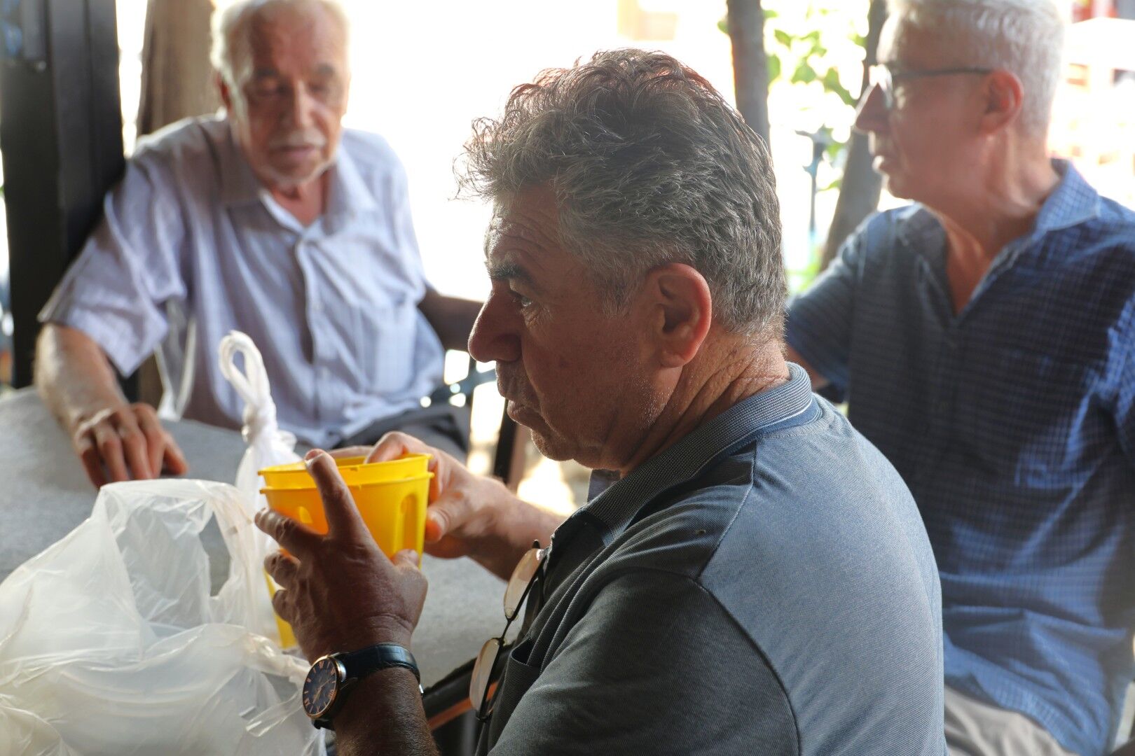 Bodrum Mandalinası Için Biyoteknik Mücadele (2)
