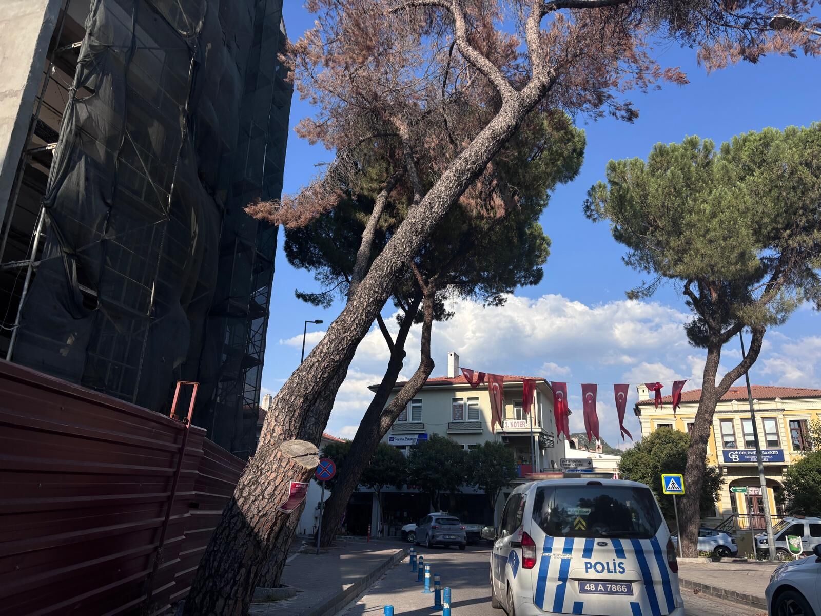 Menteşe’de Riskli Ağaçlar İçin Kesim Başladı (2)