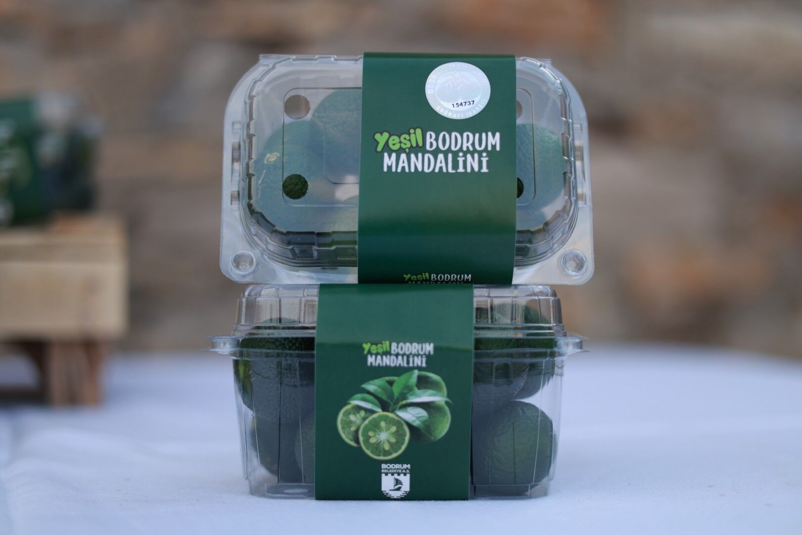 Yeşil Bodrum Mandalini İçin Sektör Buluşması Düzenlendi (3)