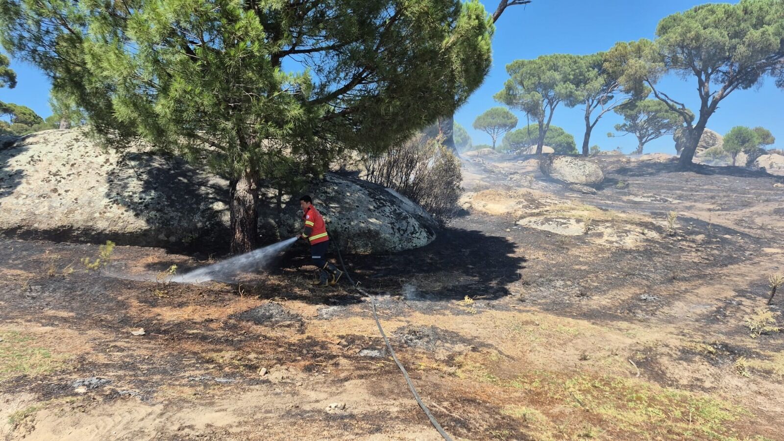 Muğla’da Her 10 Yangından 7’Sinin Nedeni İnsan (3)