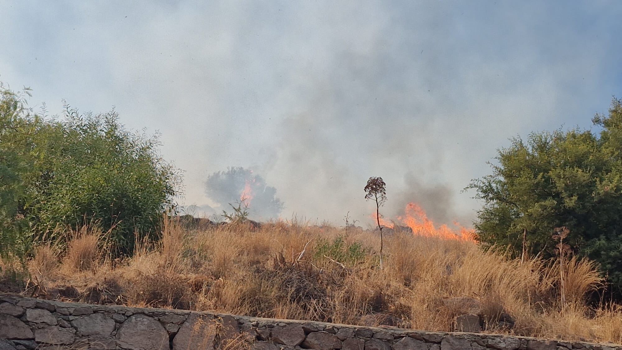 Bodrum Akyarlar’da Yangın Paniği (3)