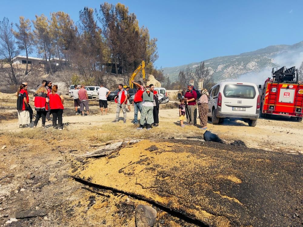 Seydikemer’de Yangından Etkilenen Üreticilerin Zararı Incelendi (2)