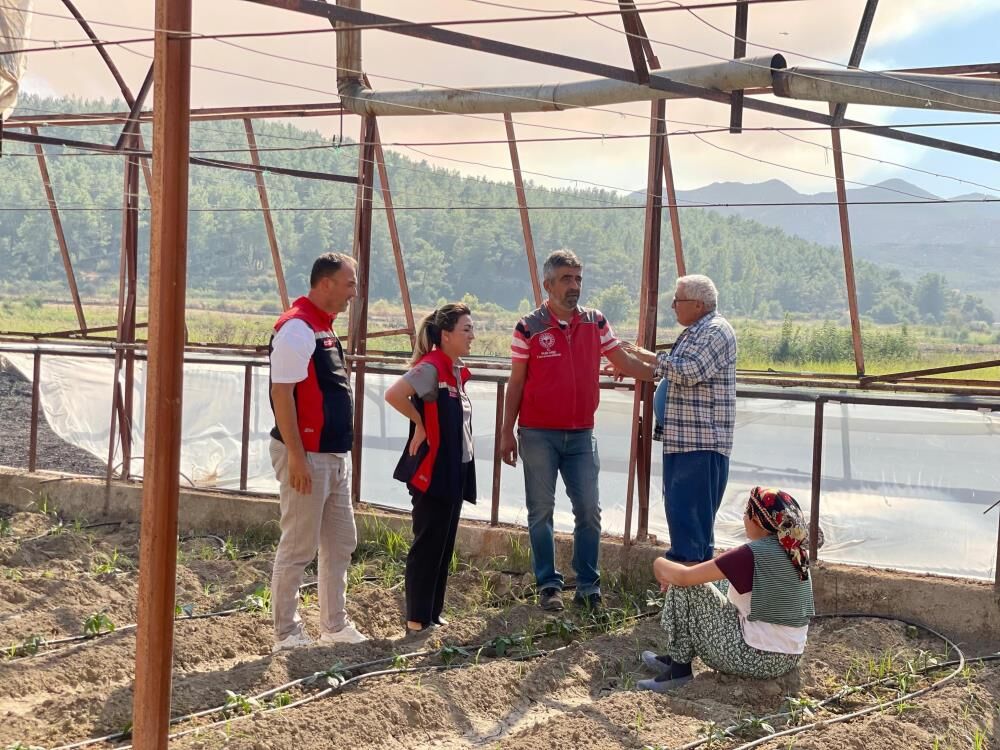 Seydikemer’de Yangından Etkilenen Üreticilerin Zararı Incelendi (3)