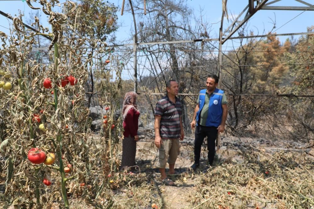 Seydikemer’de Yangın Sonrası Hasar Tespiti Başladı (3)