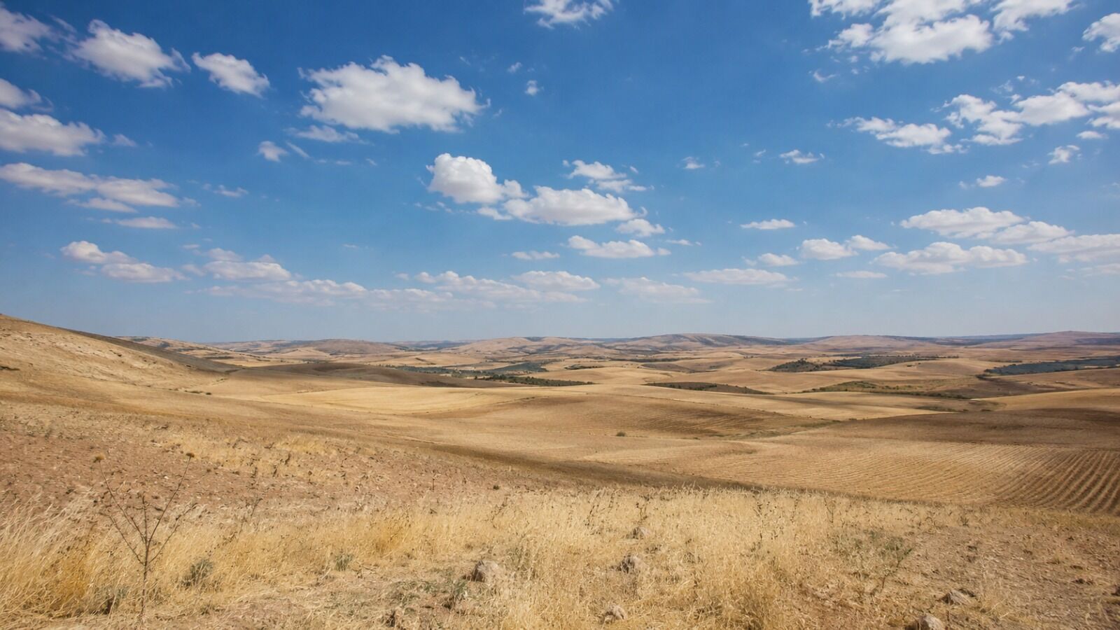 Anadolu