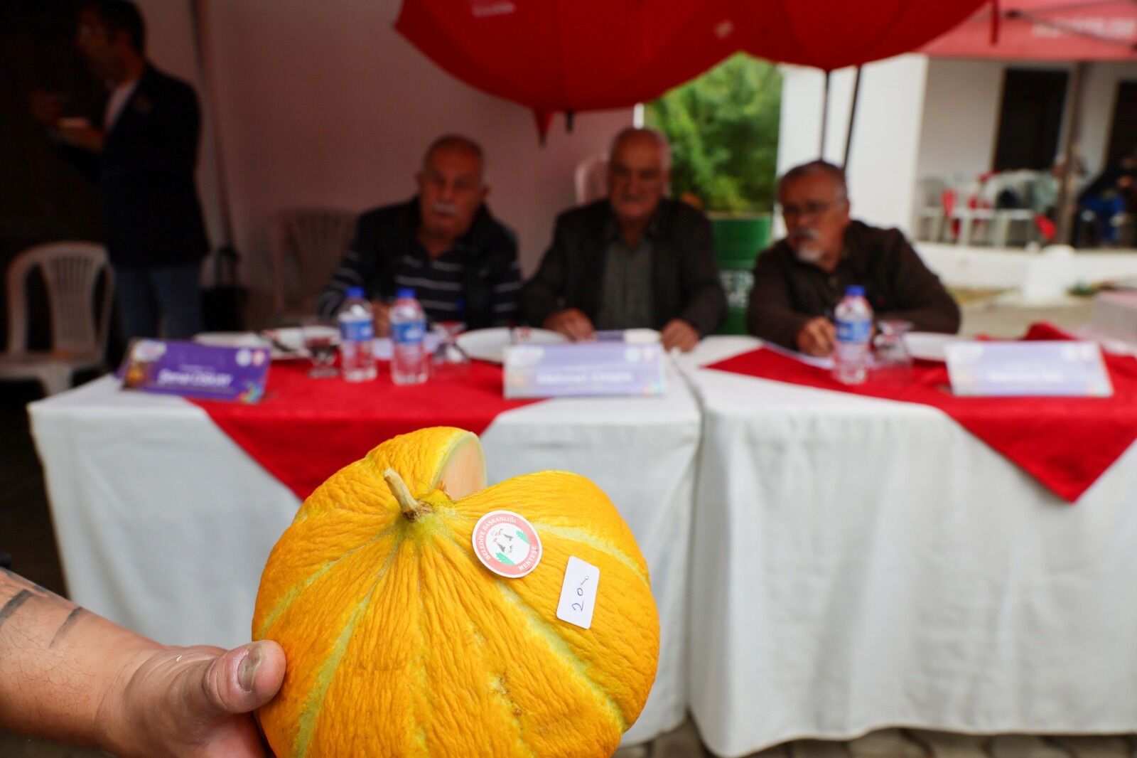 Karabağlar Yaylası’nın en güzel kavunları seçildi