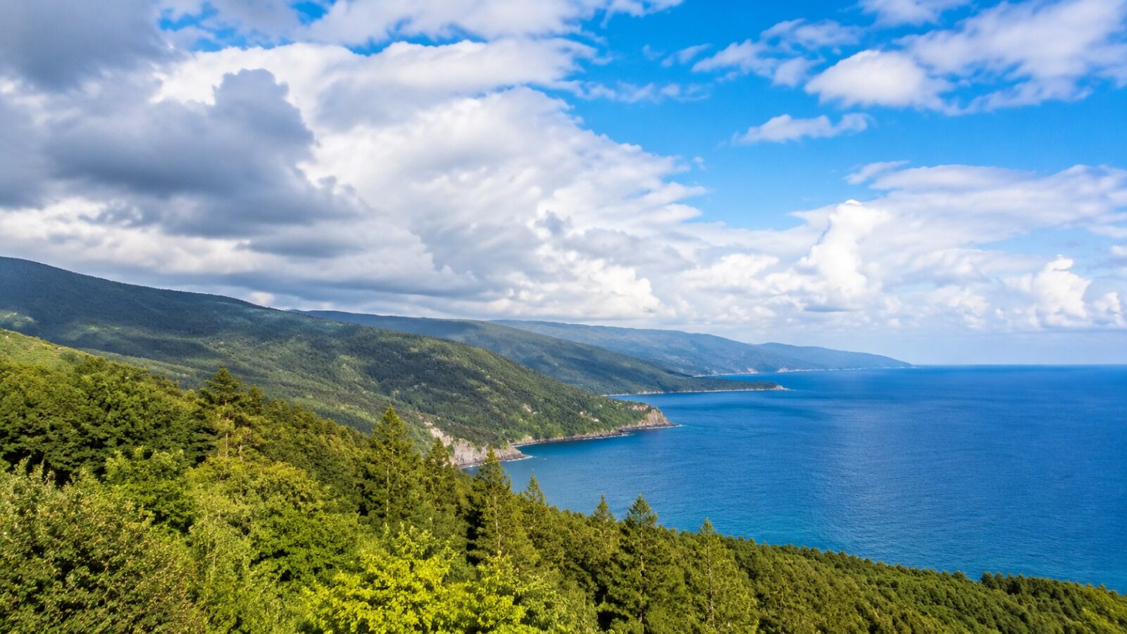 Karadeniz