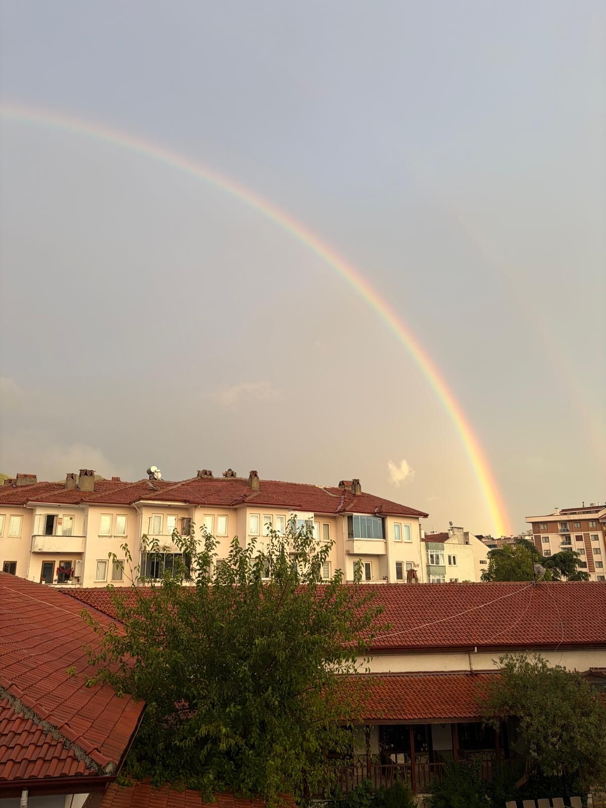 Mentese Yagmur Sonrasi Gokkusagi.jpg1