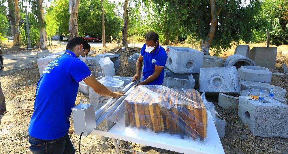 Muğla’da 236 Bin 710 Petek Güveden Korundu (1)