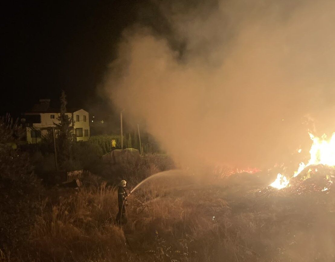 Seydikemer'de Domates Posaları Alevlere Teslim Oldu (3)
