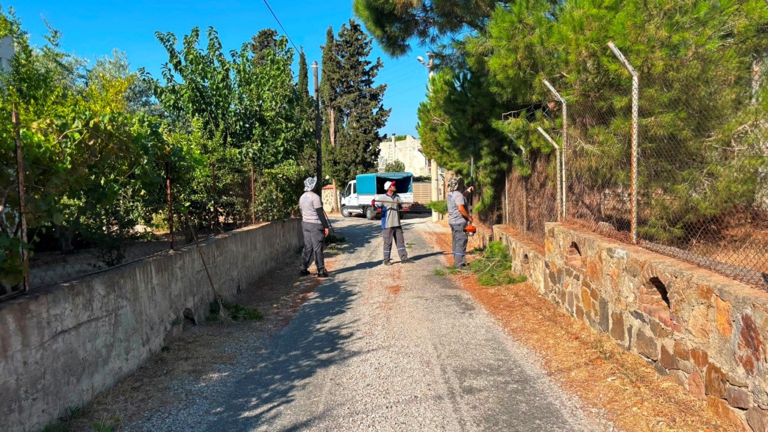 Bodrum’da Ot Temizliği 400 Bin Metrekare Aşıldı (4)