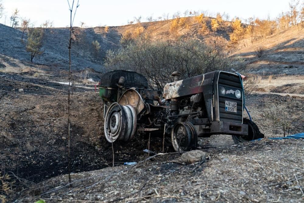 Fethiye’de Yangının Acı Bilançosu Gün Ağarınca Ortaya Çıktı (4)