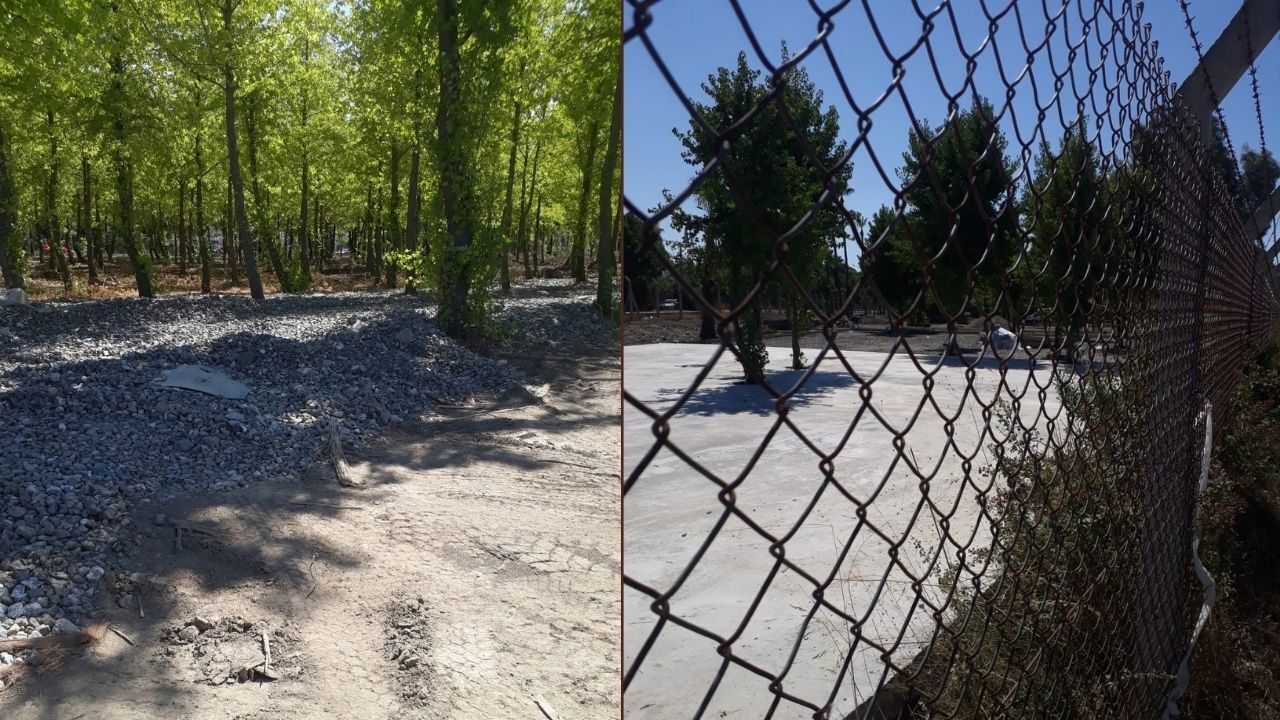 Dalaman’da Sığla, Çam Ve Okaliptüslerin Arasına Beton Döküldü (2)