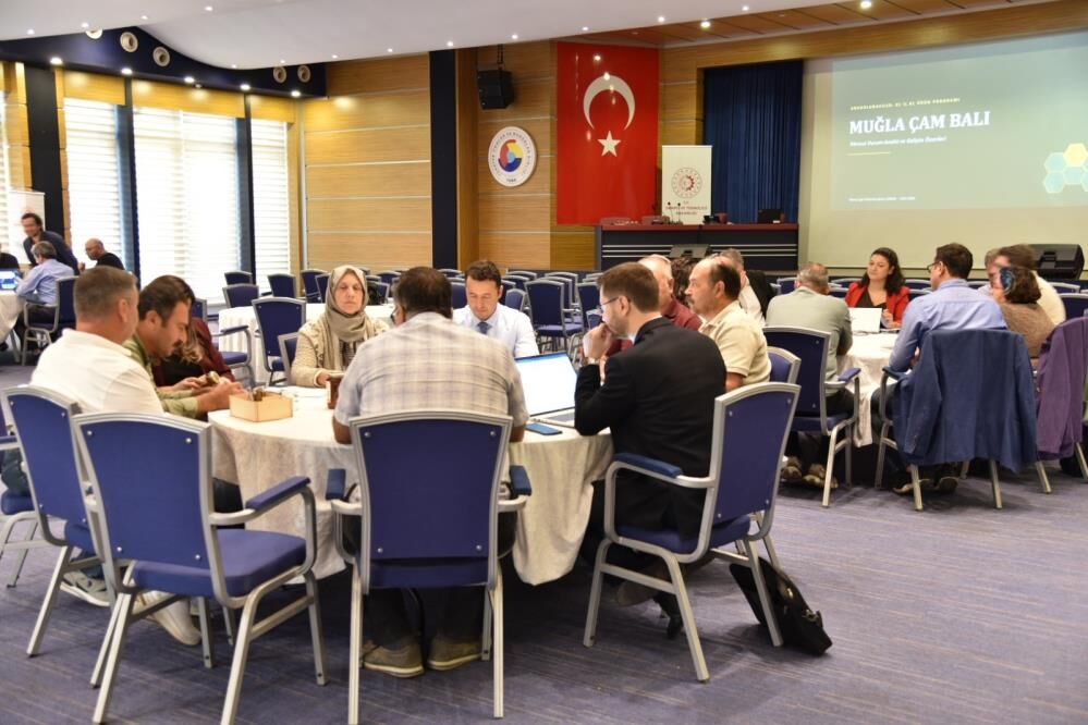 Muğla Çam Balının Geleceği Çalıştayda Ele Alındı (2)