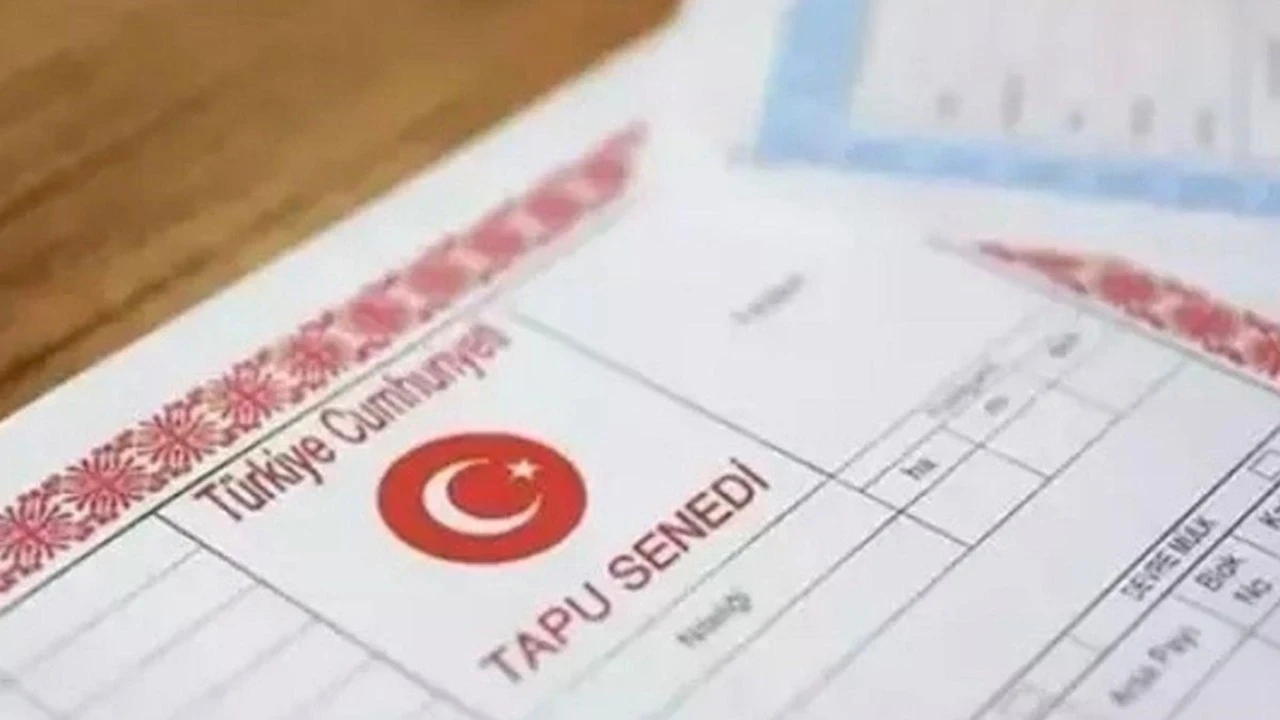 Miras paylaşımında kardeş kavgası bitiyor! Uzman isim açıkladı