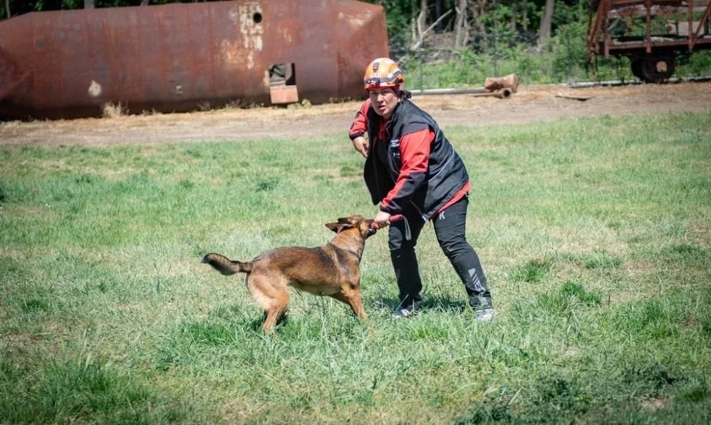 Muğla’nın Arama Kurtarma Köpekleri Yeterlilik Sınavını Geçti (1)