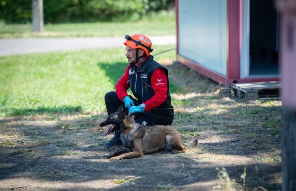 Muğla’nın Arama Kurtarma Köpekleri Yeterlilik Sınavını Geçti (3)